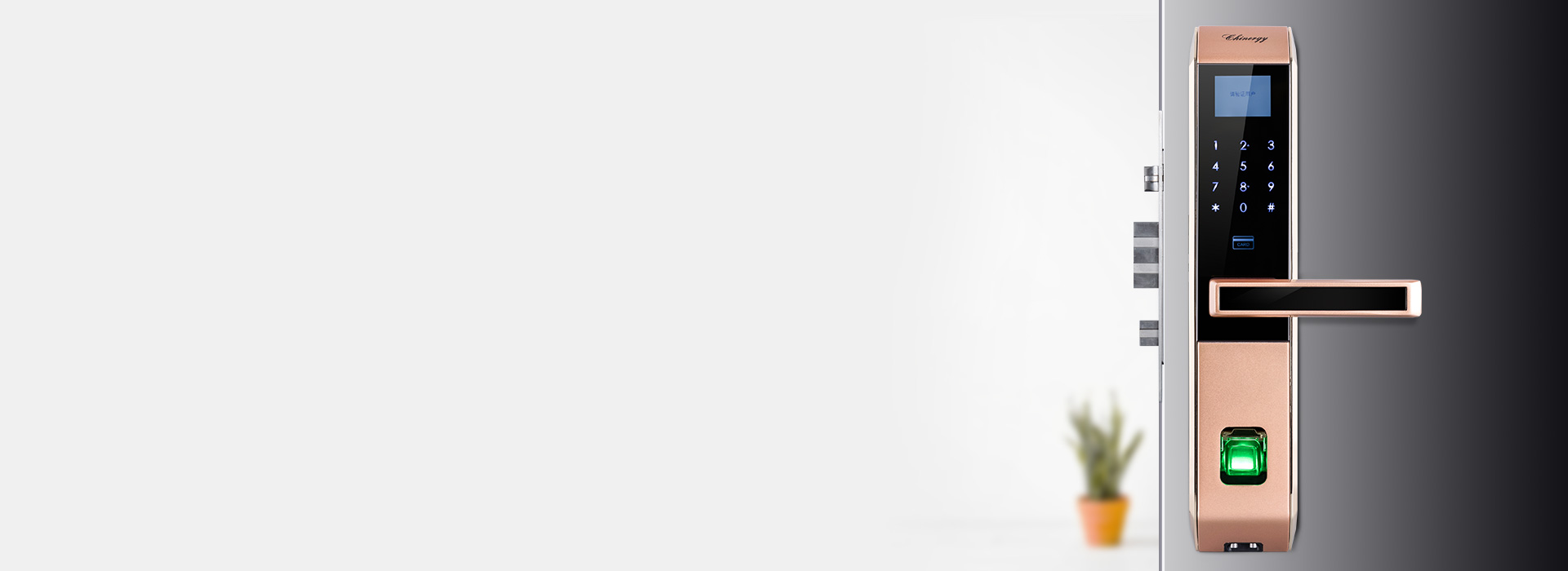 虛位密碼保護，虛實結合
 正泰智能鎖LO...