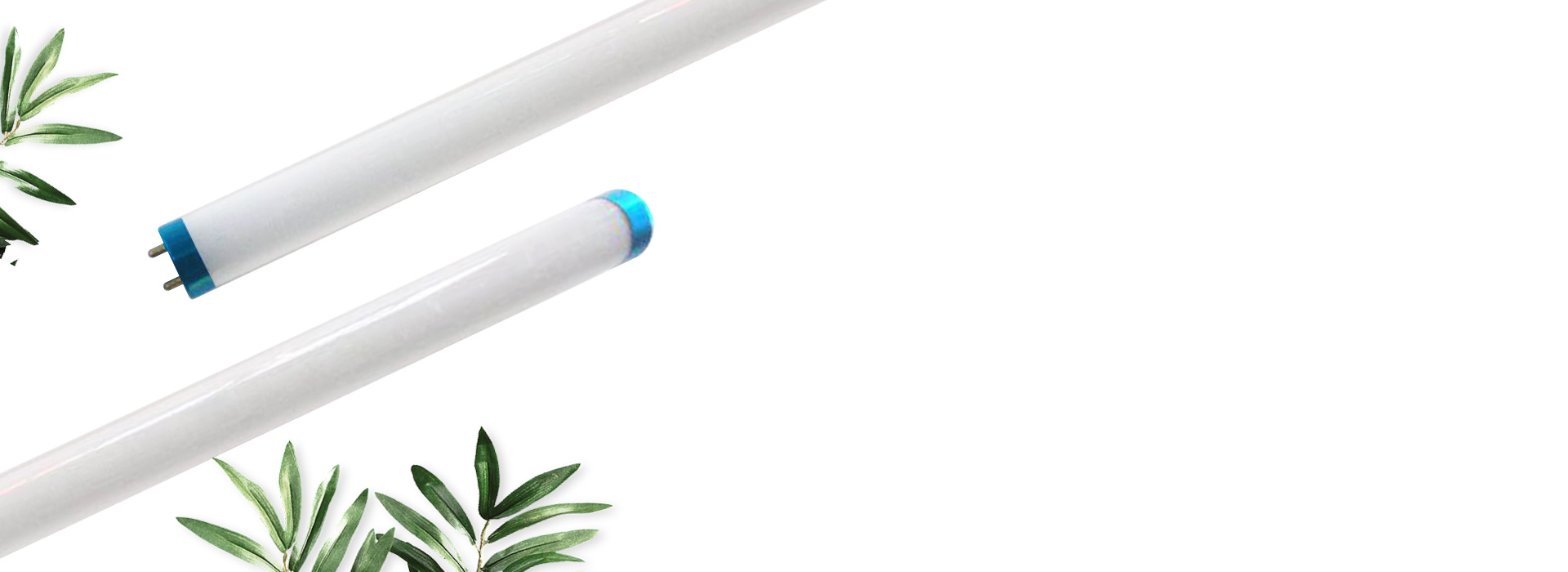 健康生活，健康光
 選照明，就是選生活。...