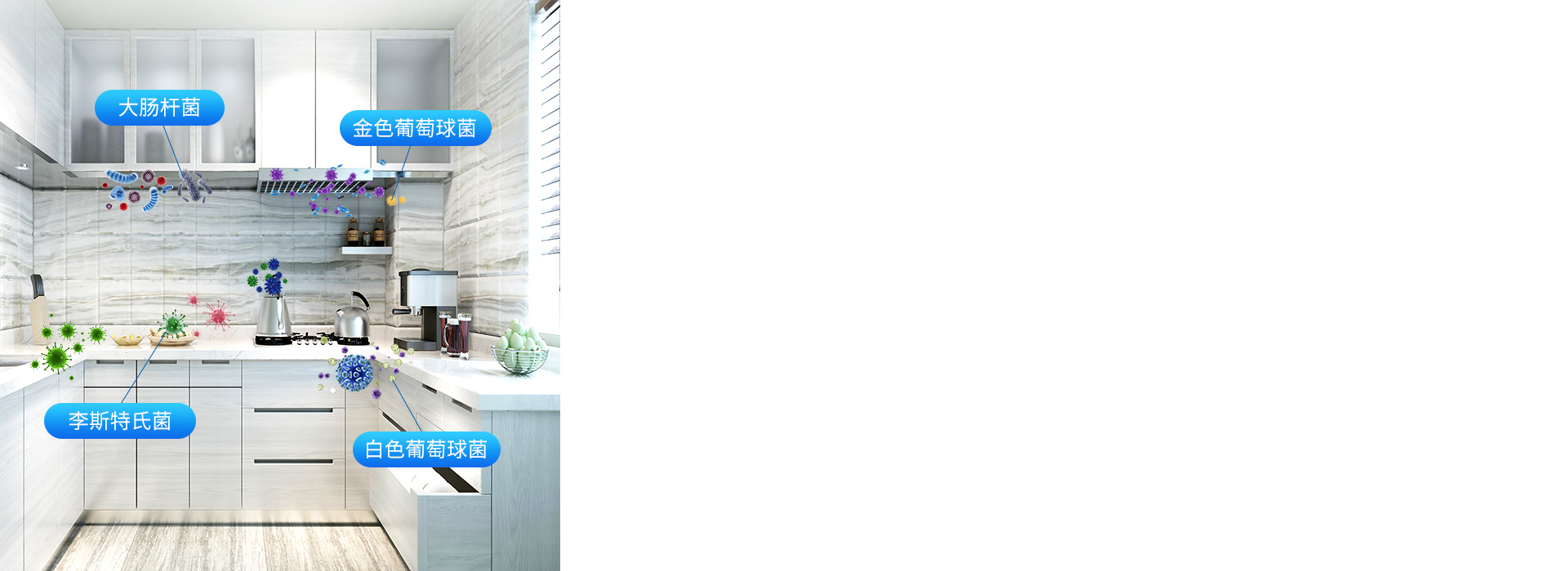 注意！廚房、衛(wèi)浴間，
 很容易滋生細(xì)菌！...