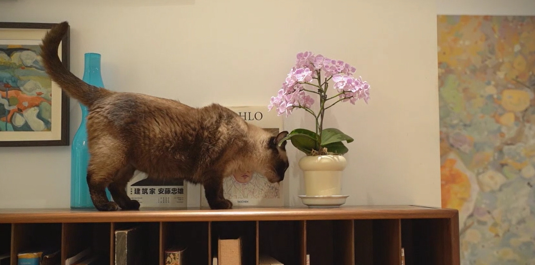 正泰T7開(kāi)關(guān)業(yè)主探訪(fǎng)錄（2）