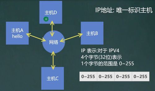 網絡編程基礎與信息安全軟件開發(fā)