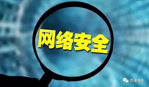 網(wǎng)絡(luò)與信息安全軟件開(kāi)發(fā)手冊(cè) 構(gòu)建數(shù)字世界的堅(jiān)固防線
